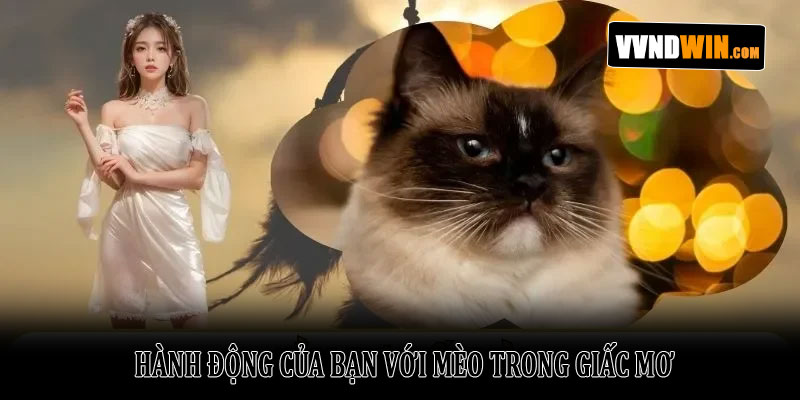 Nằm Mơ Thấy Mèo: Giải Mã Điềm Báo Và Ý Nghĩa Năm 2026 4 Hành Động Của Bạn Với Mèo Trong Giấc Mơ
