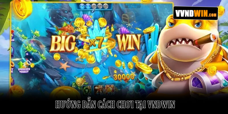 Đánh Cá Vui Vẻ VNDWIN: Thế Giới Giải Trí Đại Dương 2026 3 Hướng Dẫn Cách Chơi Tại VNDWIN