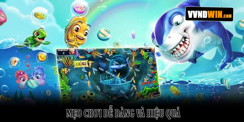 Đánh Cá Vui Vẻ VNDWIN: Thế Giới Giải Trí Đại Dương 2026 5 Mẹo Chơi Dễ Dàng Và Hiệu Quả
