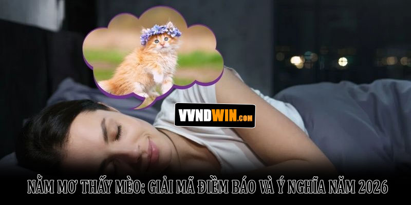 Nằm Mơ Thấy Mèo: Giải Mã Điềm Báo Và Ý Nghĩa Năm 2026 1 Nằm Mơ Thấy Mèo: Giải Mã Điềm Báo Và Ý Nghĩa Năm 2026