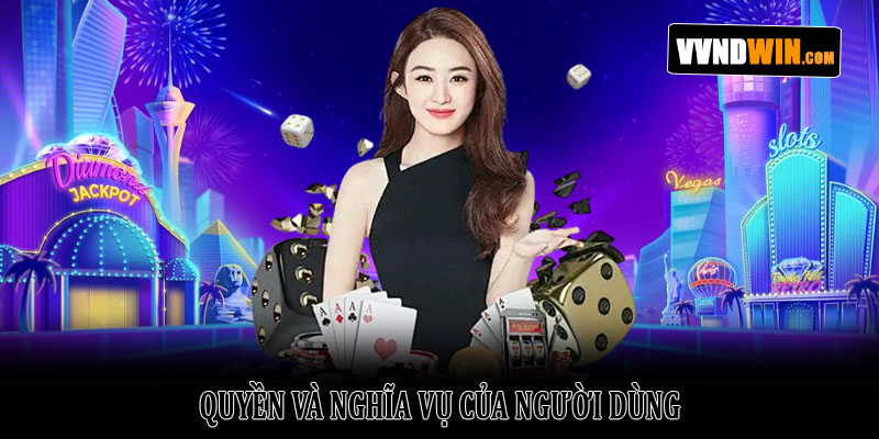 Điều khoản dịch vụ VNDWIN – Điều kiện & quyền lợi tham gia 3 Quyền và nghĩa vụ của người dùng