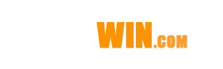 vvndwincom